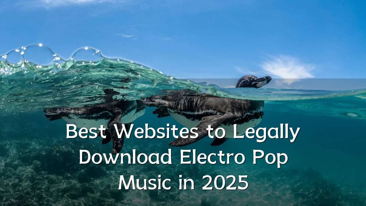 Best Websites to Legally Download Electro Pop Music in 2025