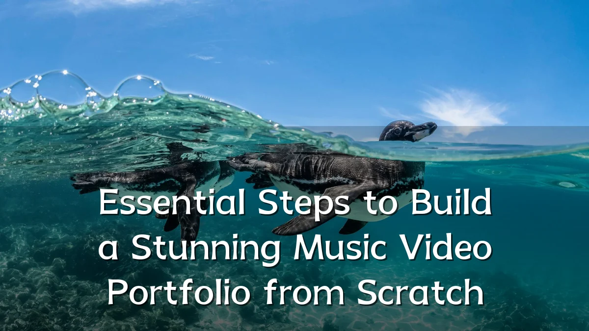 Essential Steps to Build a Stunning Music Video Portfolio from Scratch