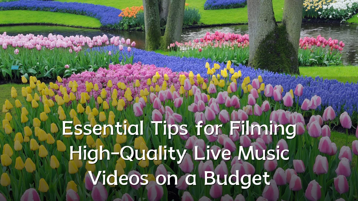 Essential Tips for Filming High-Quality Live Music Videos on a Budget