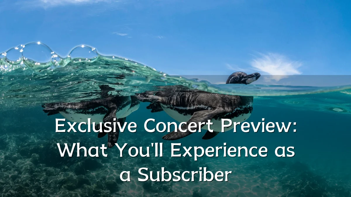 Exclusive Concert Preview: What You'll Experience as a Subscriber