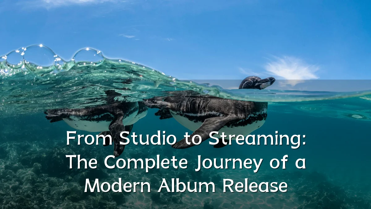 From Studio to Streaming: The Complete Journey of a Modern Album Release