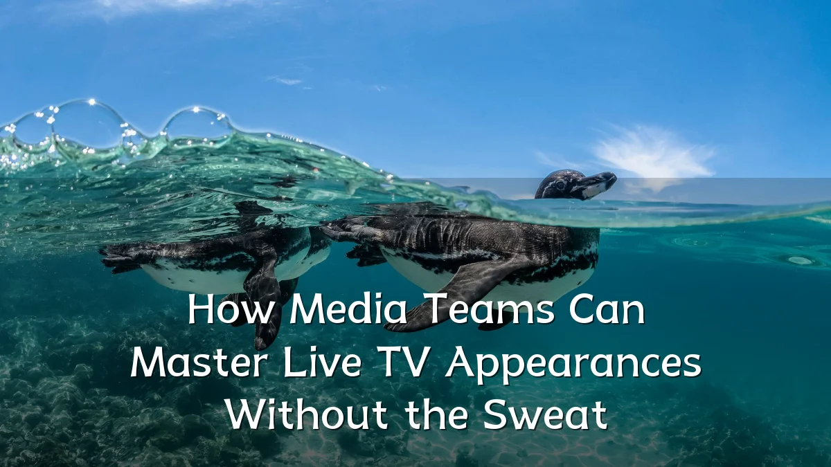 How Media Teams Can Master Live TV Appearances Without the Sweat