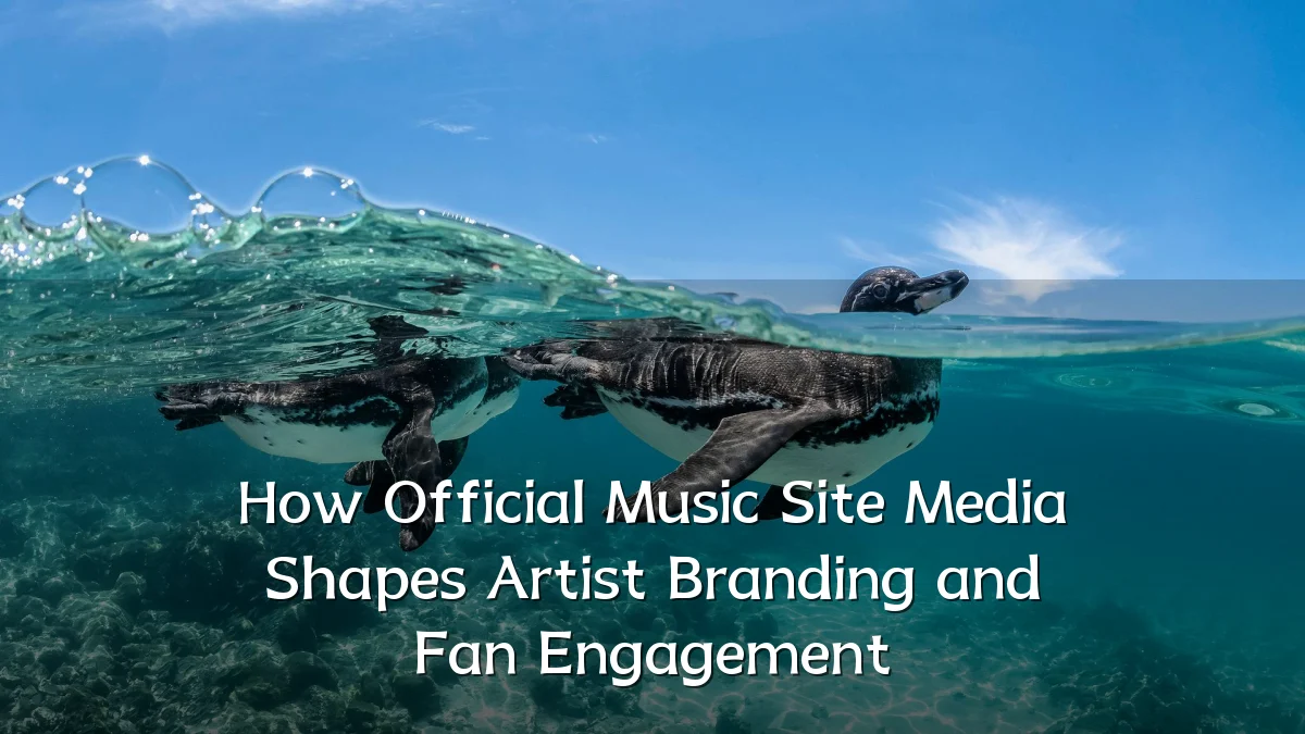 How Official Music Site Media Shapes Artist Branding and Fan Engagement