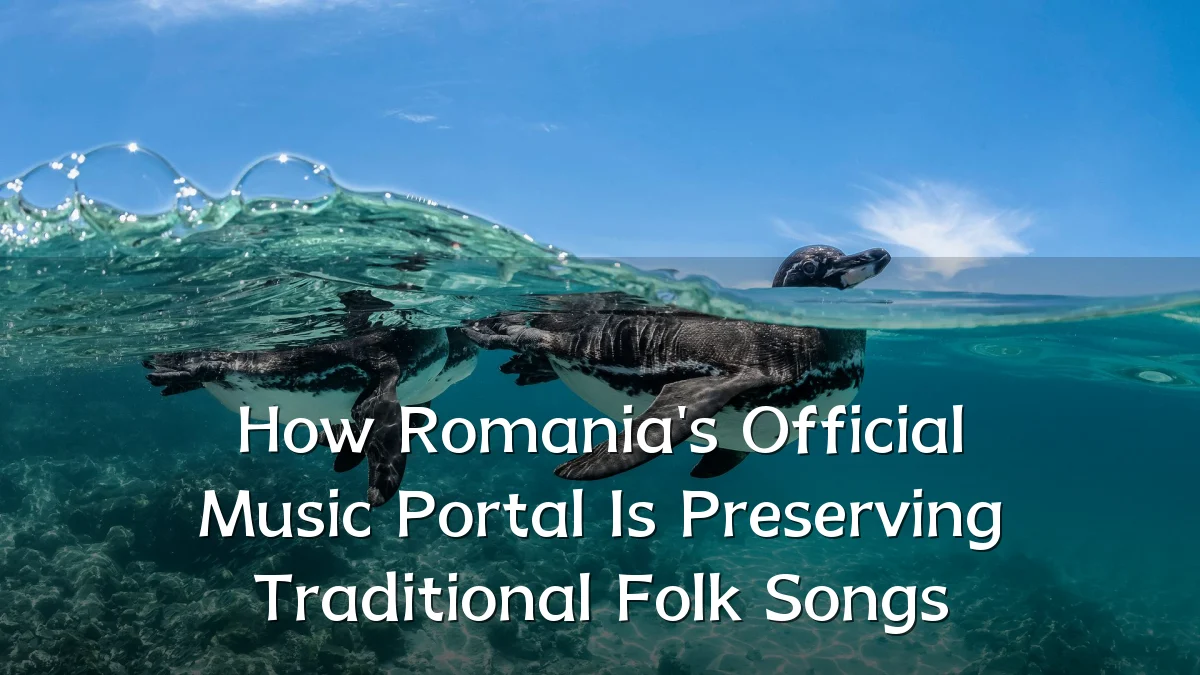 How Romania's Official Music Portal Is Preserving Traditional Folk Songs