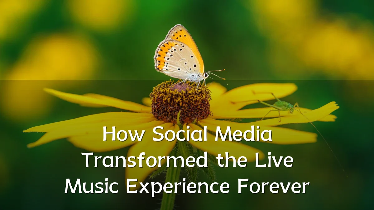 How Social Media Transformed the Live Music Experience Forever