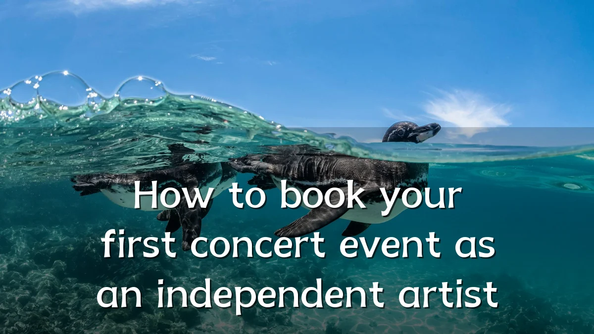 How to book your first concert event as an independent artist