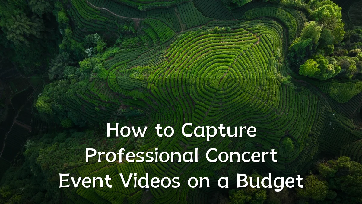 How to Capture Professional Concert Event Videos on a Budget