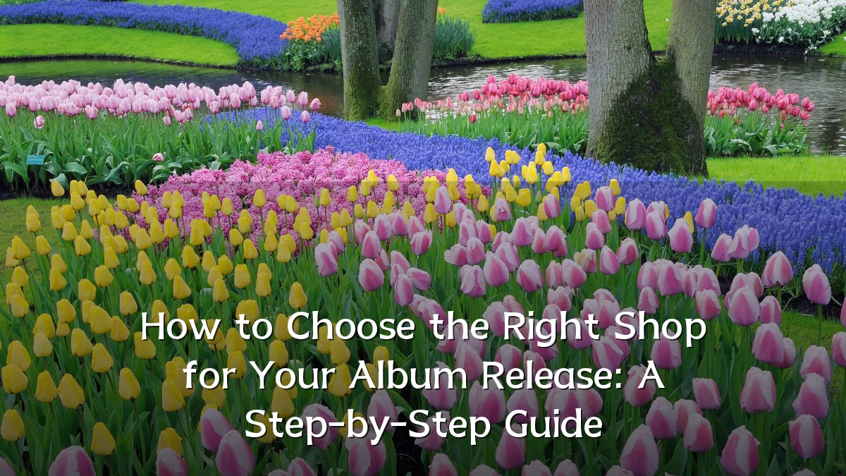 How to Choose the Right Shop for Your Album Release: A Step-by-Step Guide