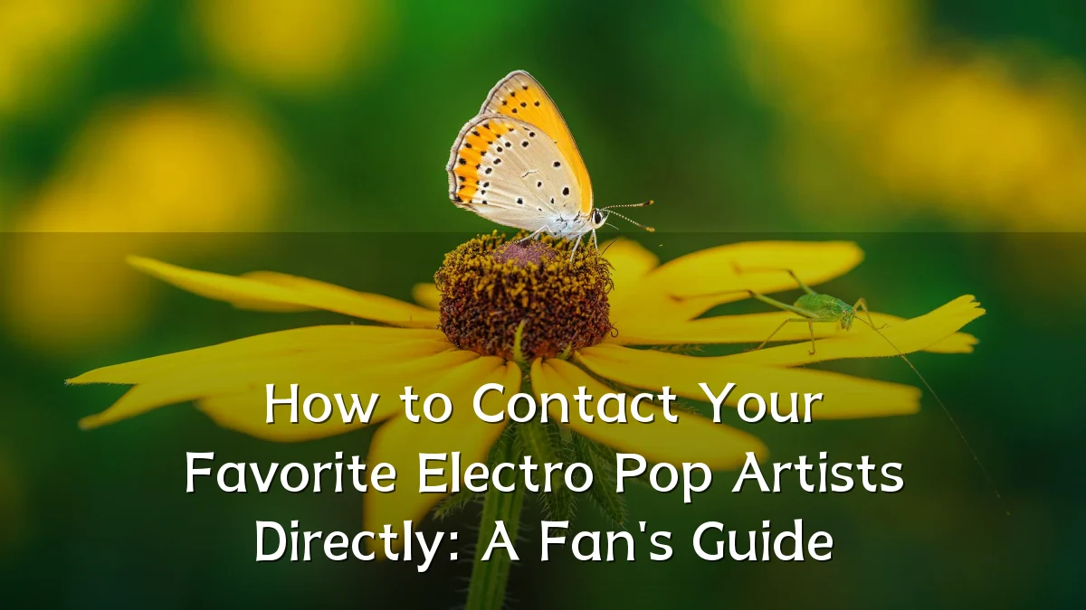 How to Contact Your Favorite Electro Pop Artists Directly: A Fan's Guide
