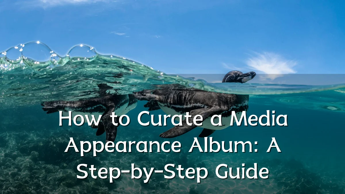 How to Curate a Media Appearance Album: A Step-by-Step Guide