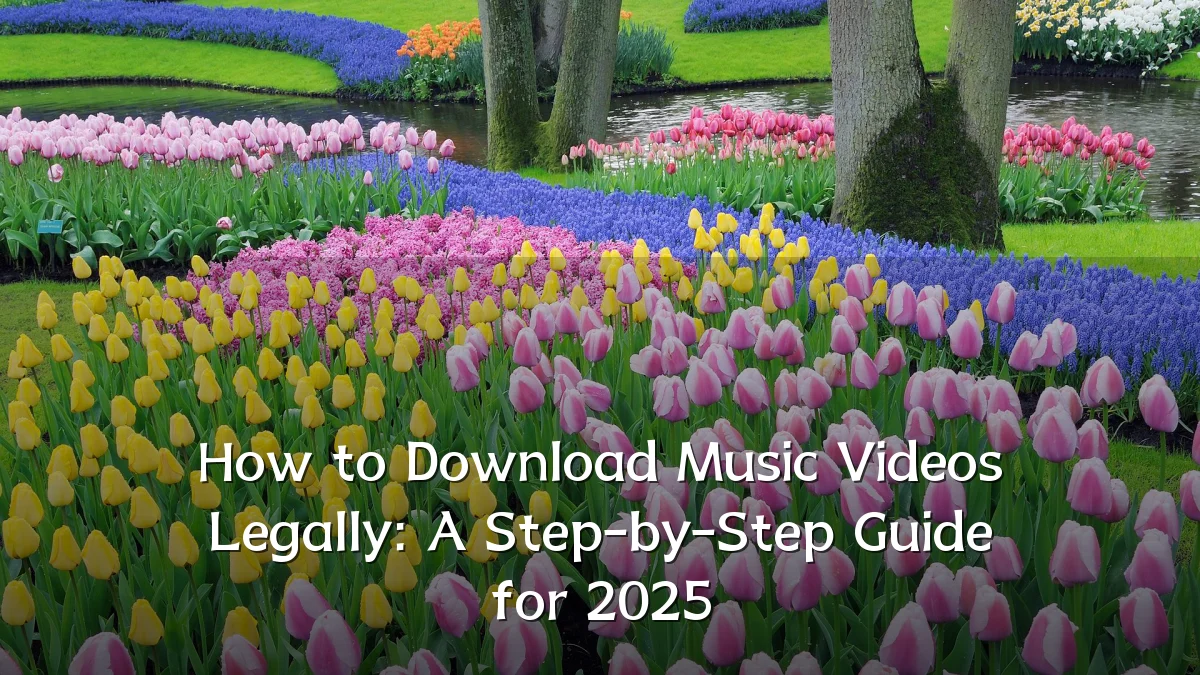 How to Download Music Videos Legally: A Step-by-Step Guide for 2025
