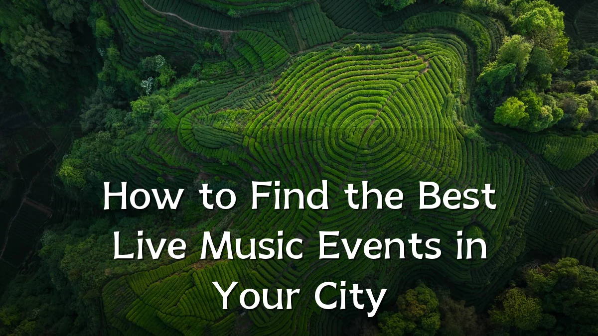 How to Find the Best Live Music Events in Your City