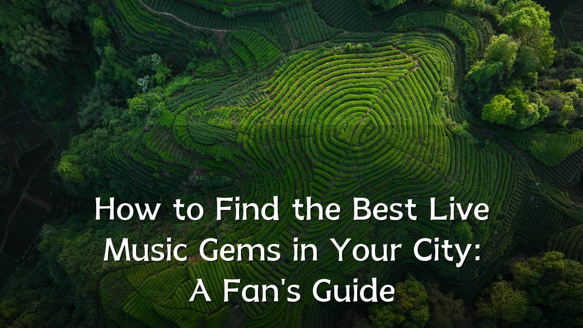 How to Find the Best Live Music Gems in Your City: A Fan's Guide