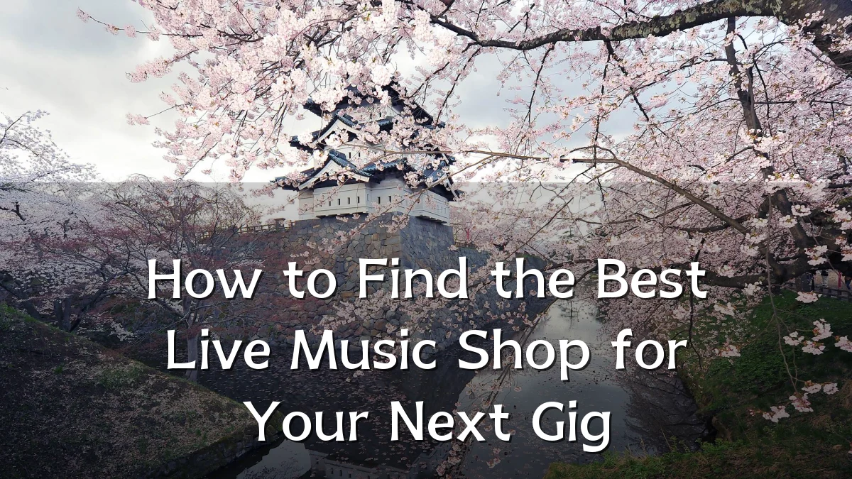 How to Find the Best Live Music Shop for Your Next Gig