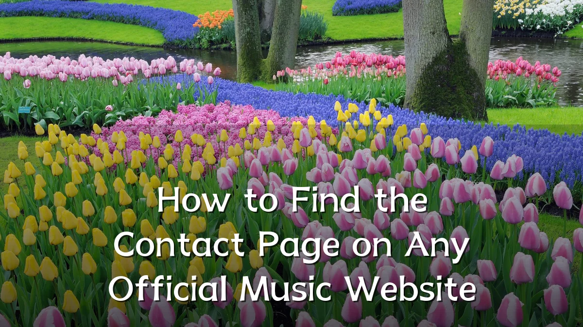 How to Find the Contact Page on Any Official Music Website