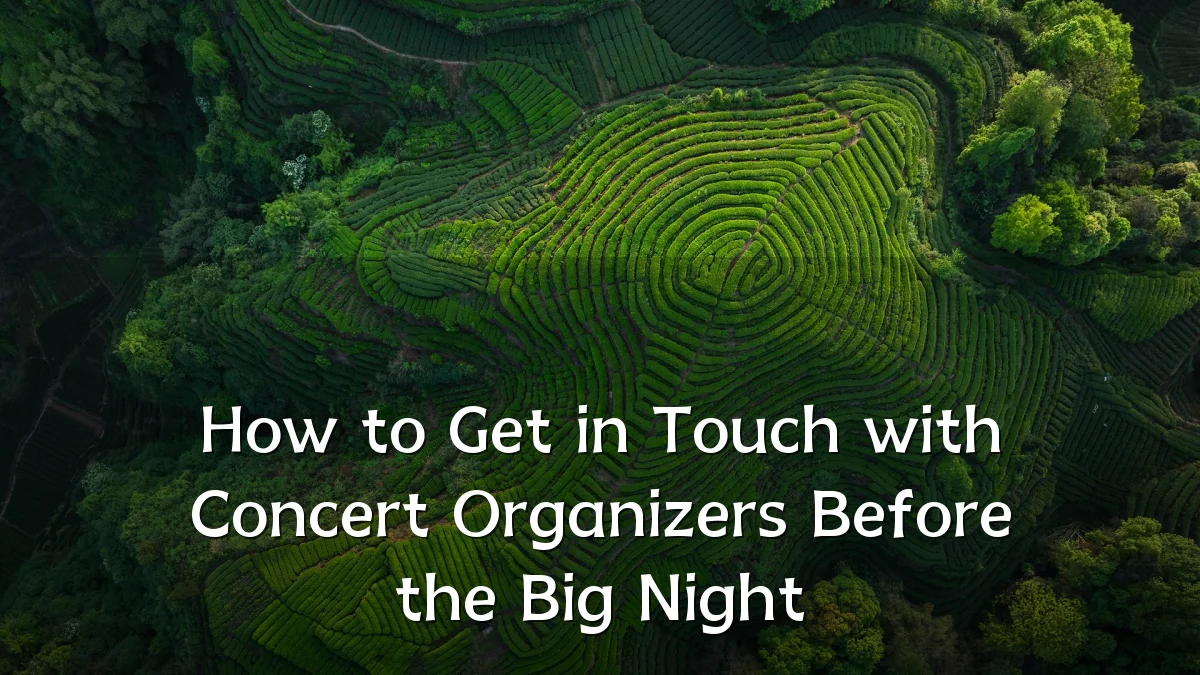 How to Get in Touch with Concert Organizers Before the Big Night