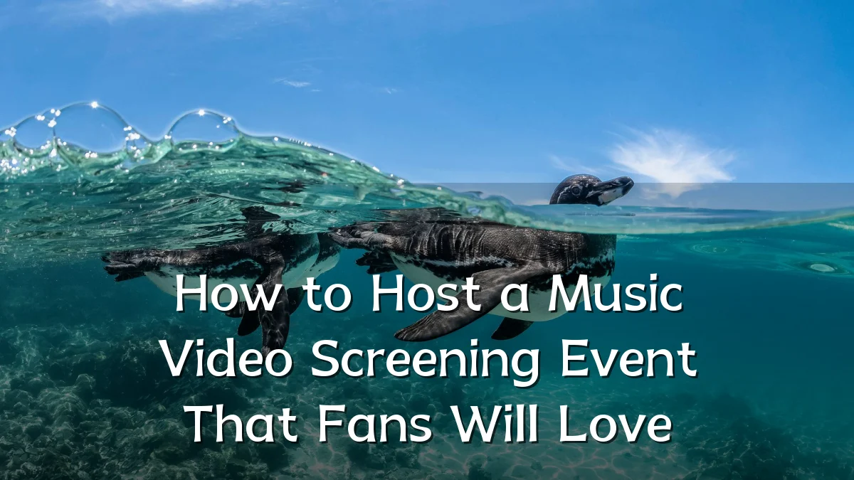 How to Host a Music Video Screening Event That Fans Will Love