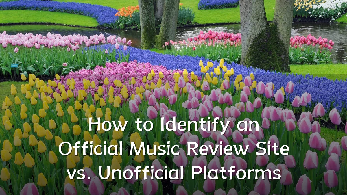 How to Identify an Official Music Review Site vs. Unofficial Platforms