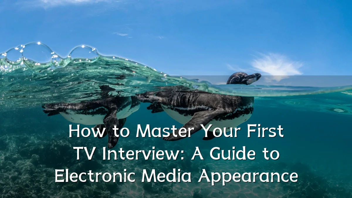 How to Master Your First TV Interview: A Guide to Electronic Media Appearance