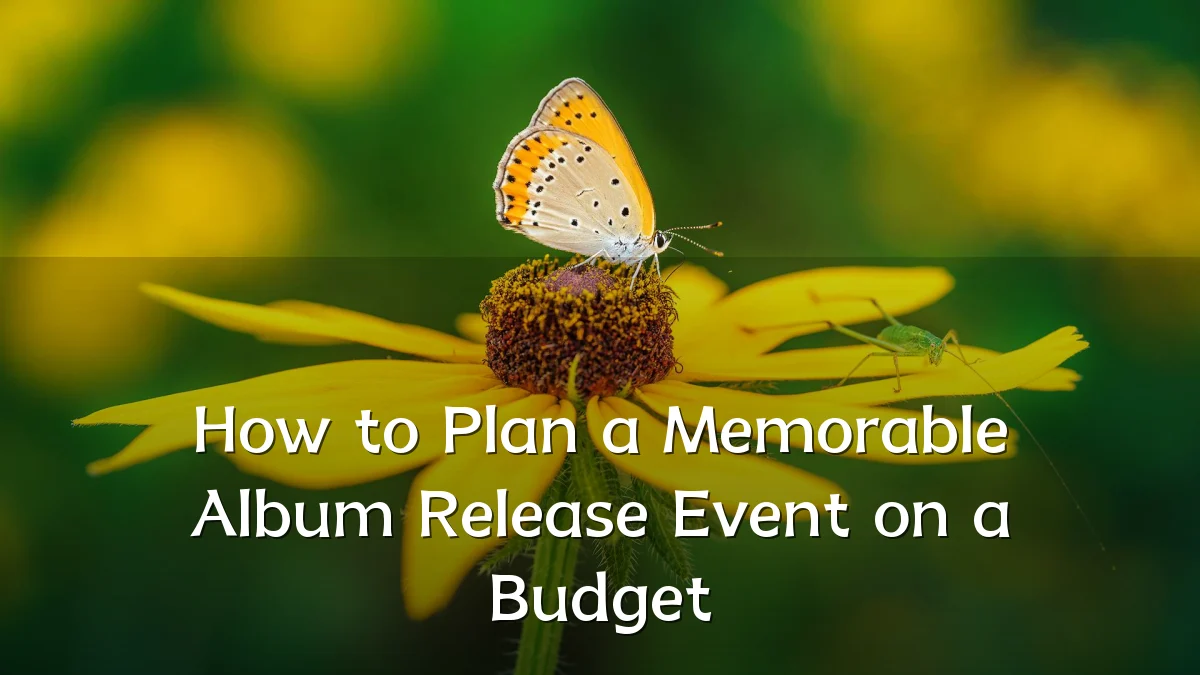 How to Plan a Memorable Album Release Event on a Budget