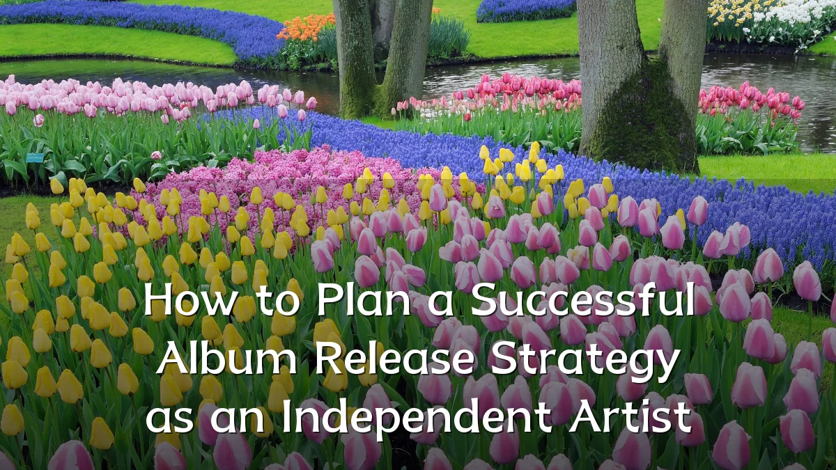 How to Plan a Successful Album Release Strategy as an Independent Artist