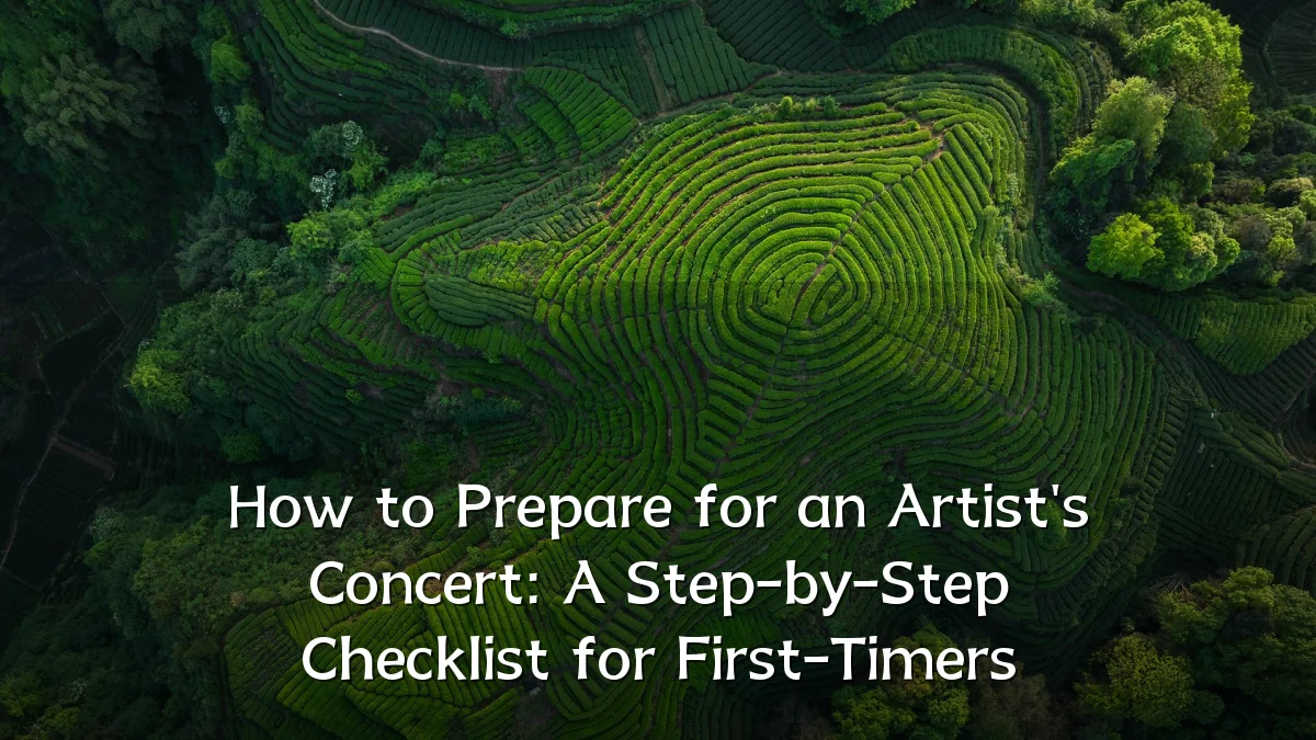 How to Prepare for an Artist's Concert: A Step-by-Step Checklist for First-Timers