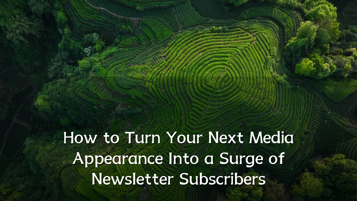How to Turn Your Next Media Appearance Into a Surge of Newsletter Subscribers