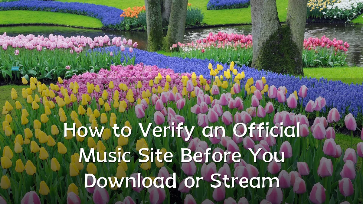 How to Verify an Official Music Site Before You Download or Stream