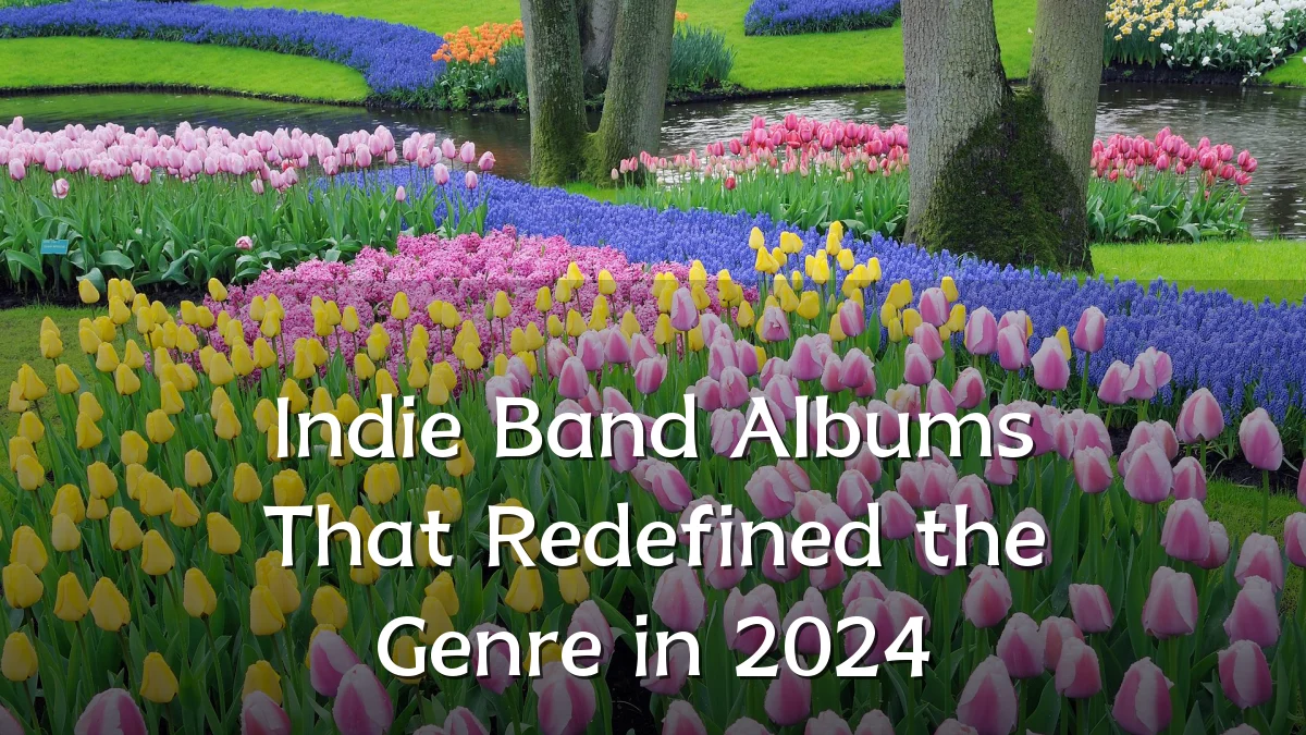 Indie Band Albums That Redefined the Genre in 2024
