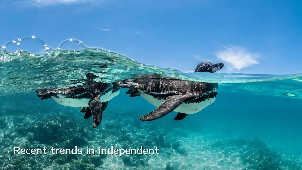 Recent trends in independent