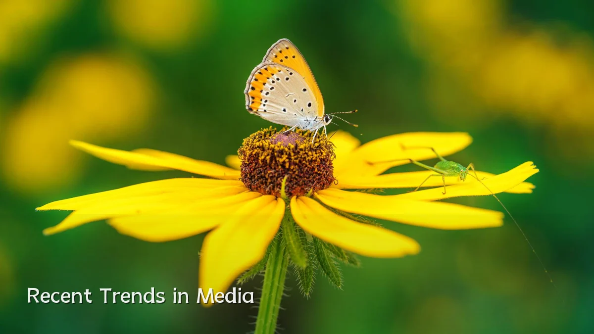Recent Trends in Media