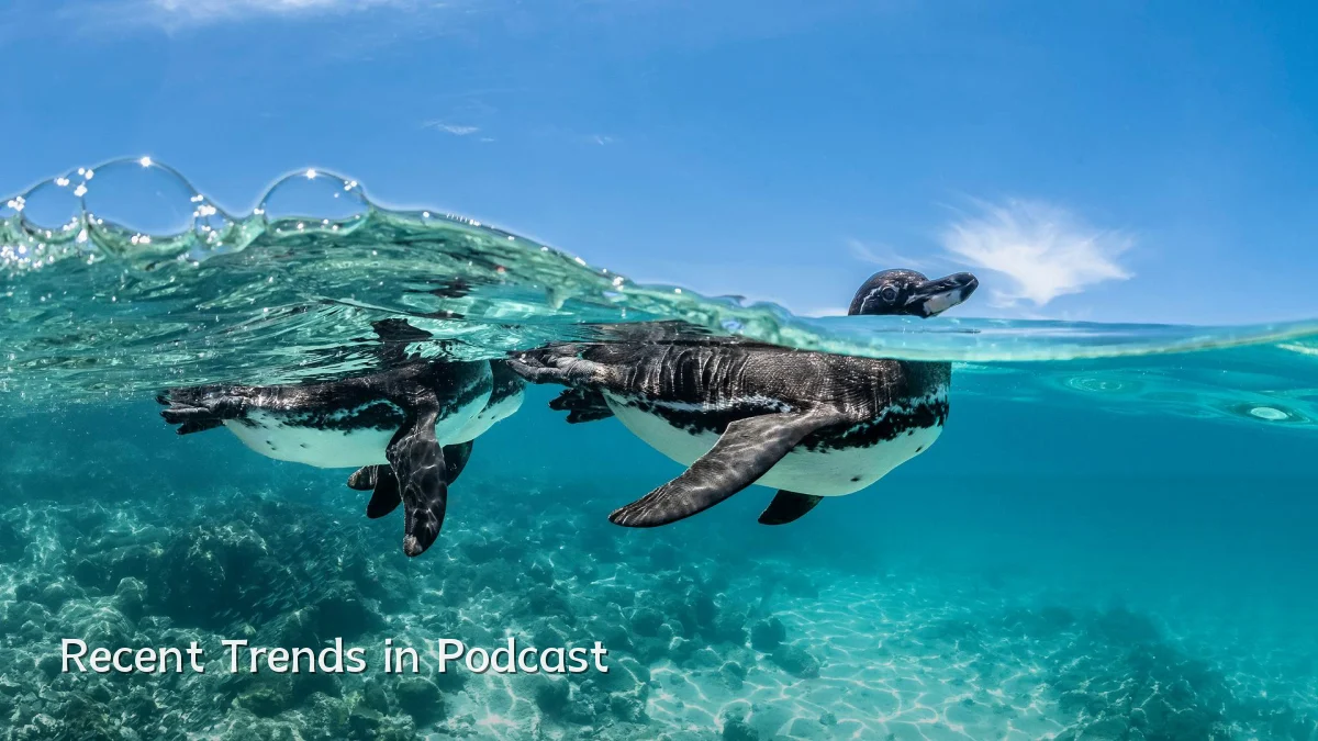 Recent Trends in Podcast