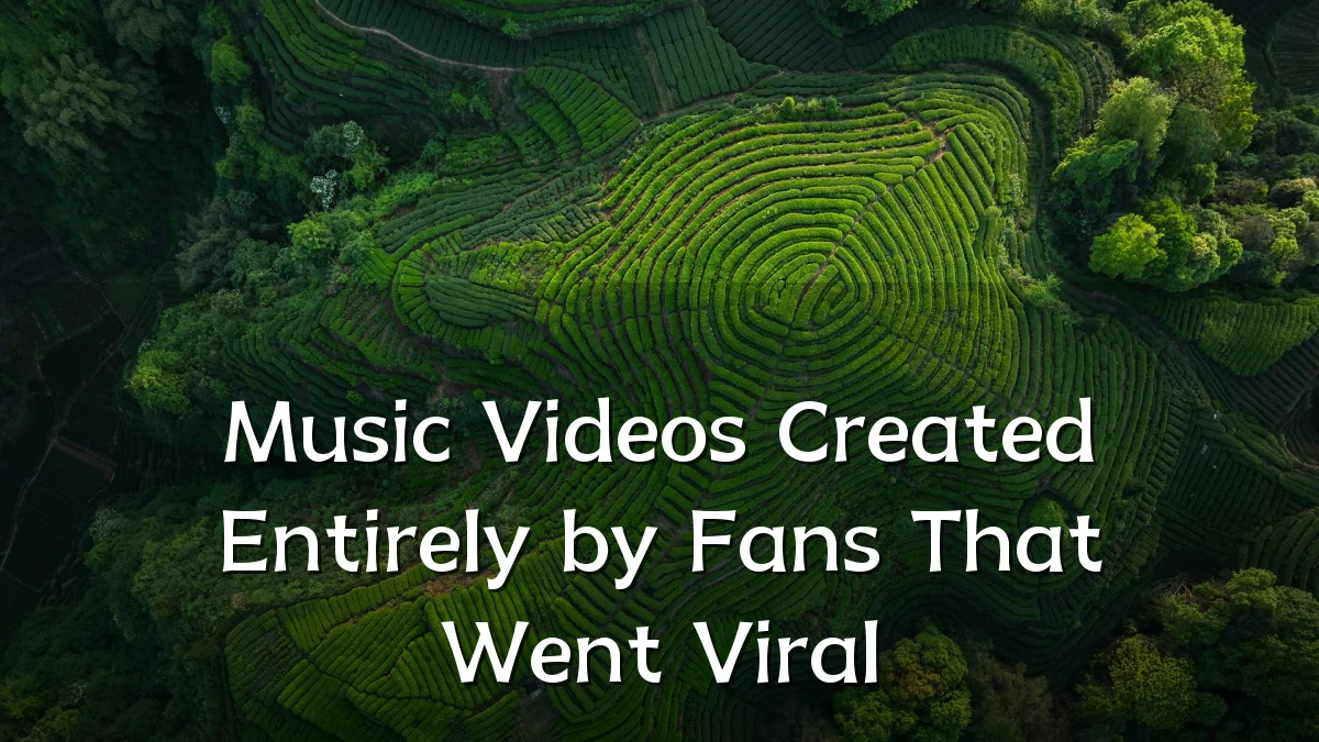Music Videos Created Entirely by Fans That Went Viral