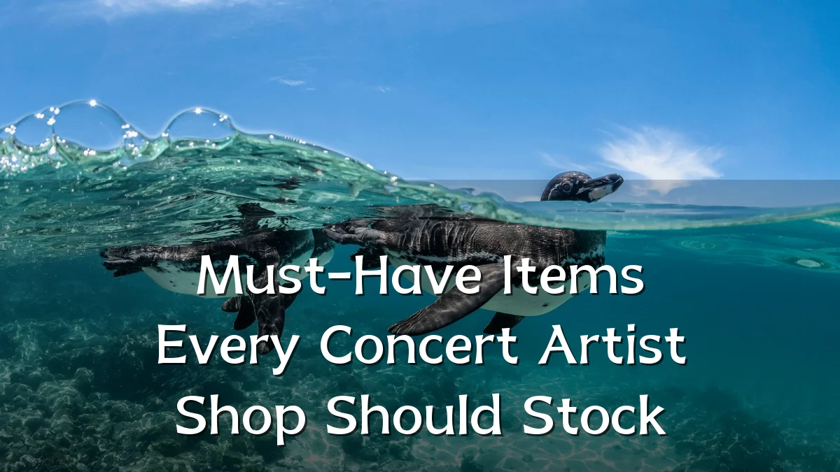Must-Have Items Every Concert Artist Shop Should Stock