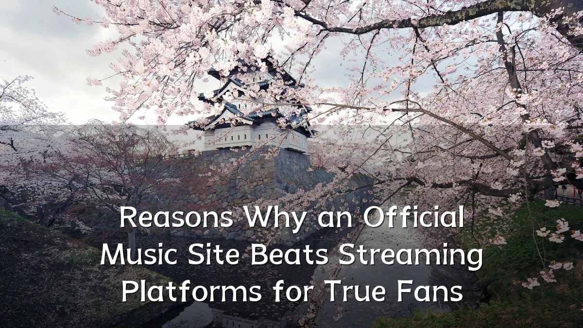 Reasons Why an Official Music Site Beats Streaming Platforms for True Fans