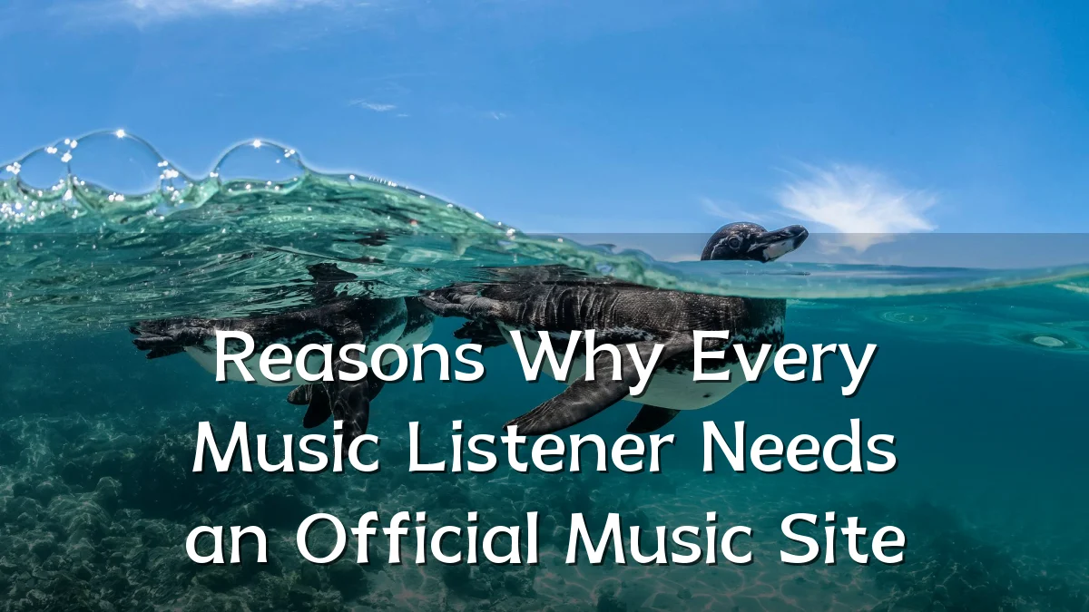 Reasons Why Every Music Listener Needs an Official Music Site