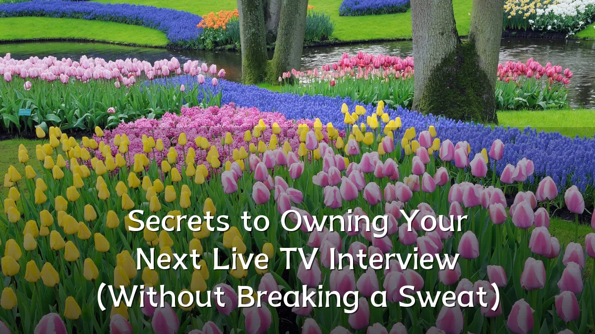 Secrets to Owning Your Next Live TV Interview (Without Breaking a Sweat)