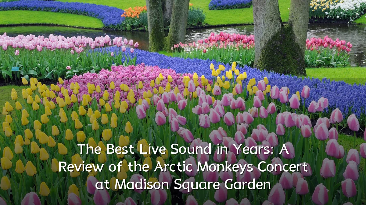 The Best Live Sound in Years: A Review of the Arctic Monkeys Concert at Madison Square Garden