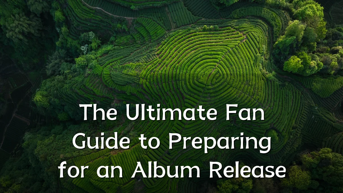 The Ultimate Fan Guide to Preparing for an Album Release