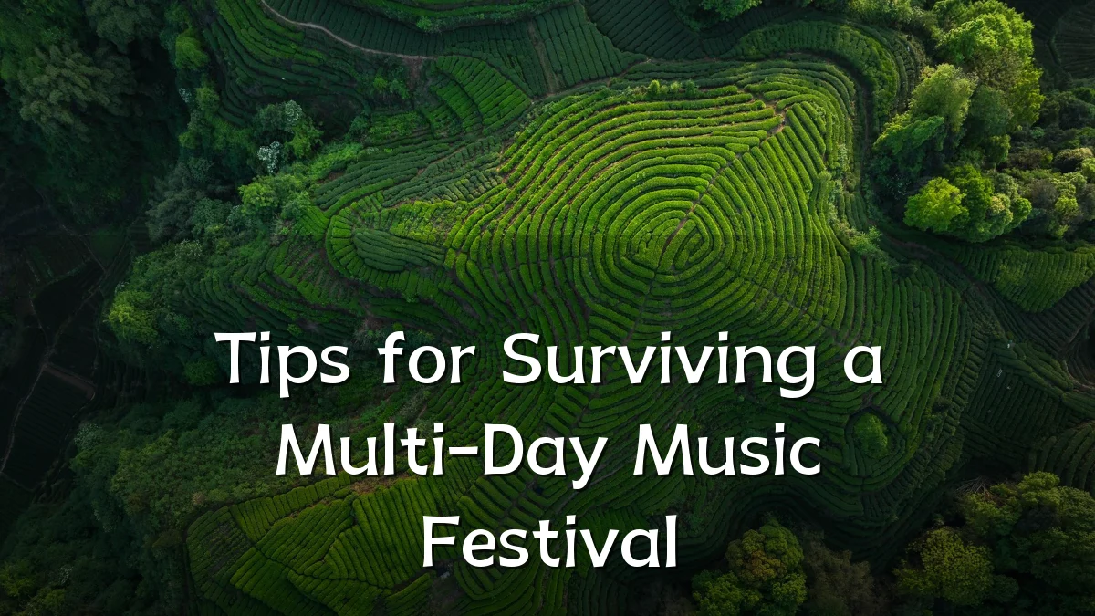 Tips for Surviving a Multi-Day Music Festival