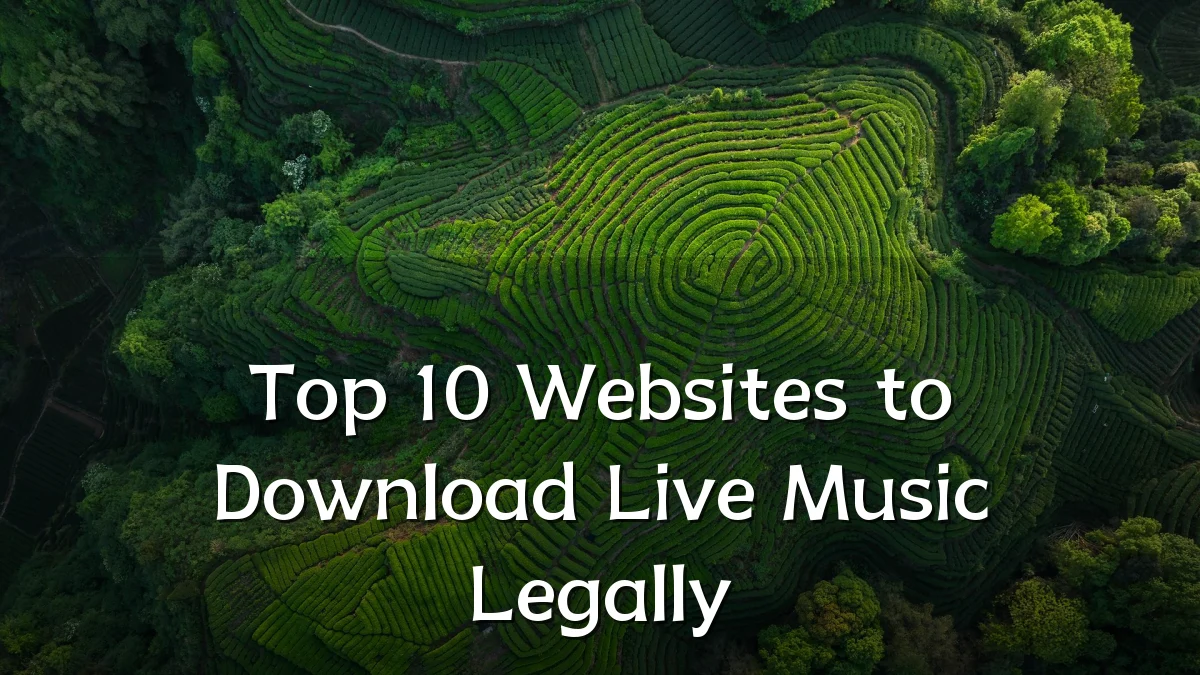 Top 10 Websites to Download Live Music Legally