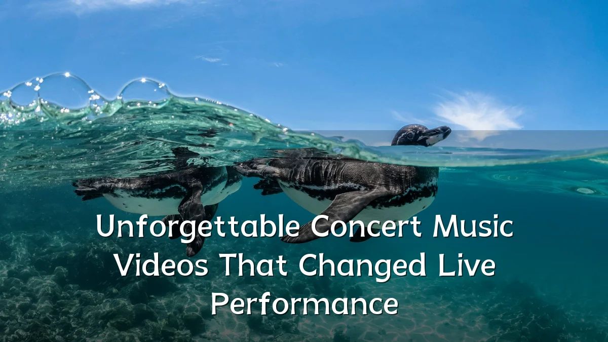 Unforgettable Concert Music Videos That Changed Live Performance