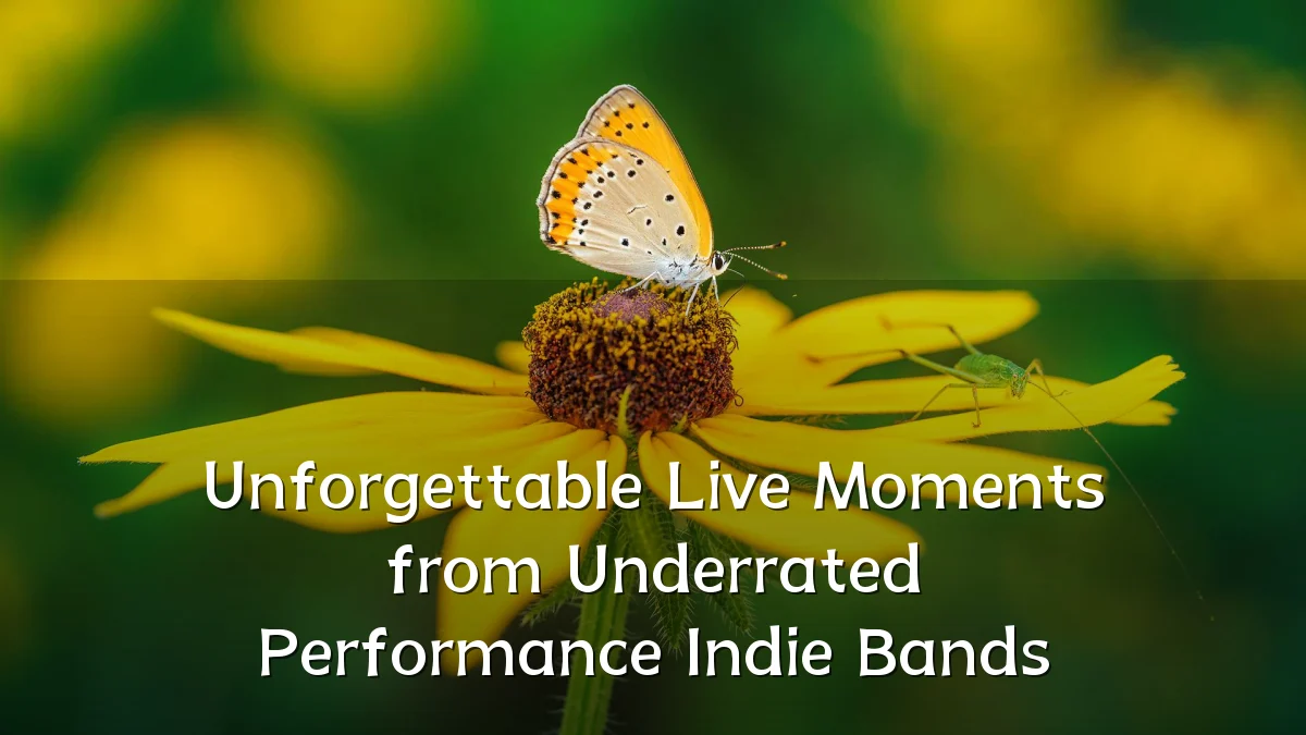 Unforgettable Live Moments from Underrated Performance Indie Bands