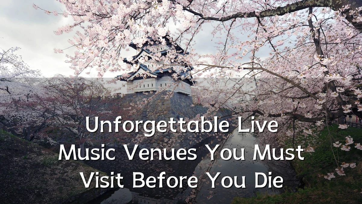 Unforgettable Live Music Venues You Must Visit Before You Die