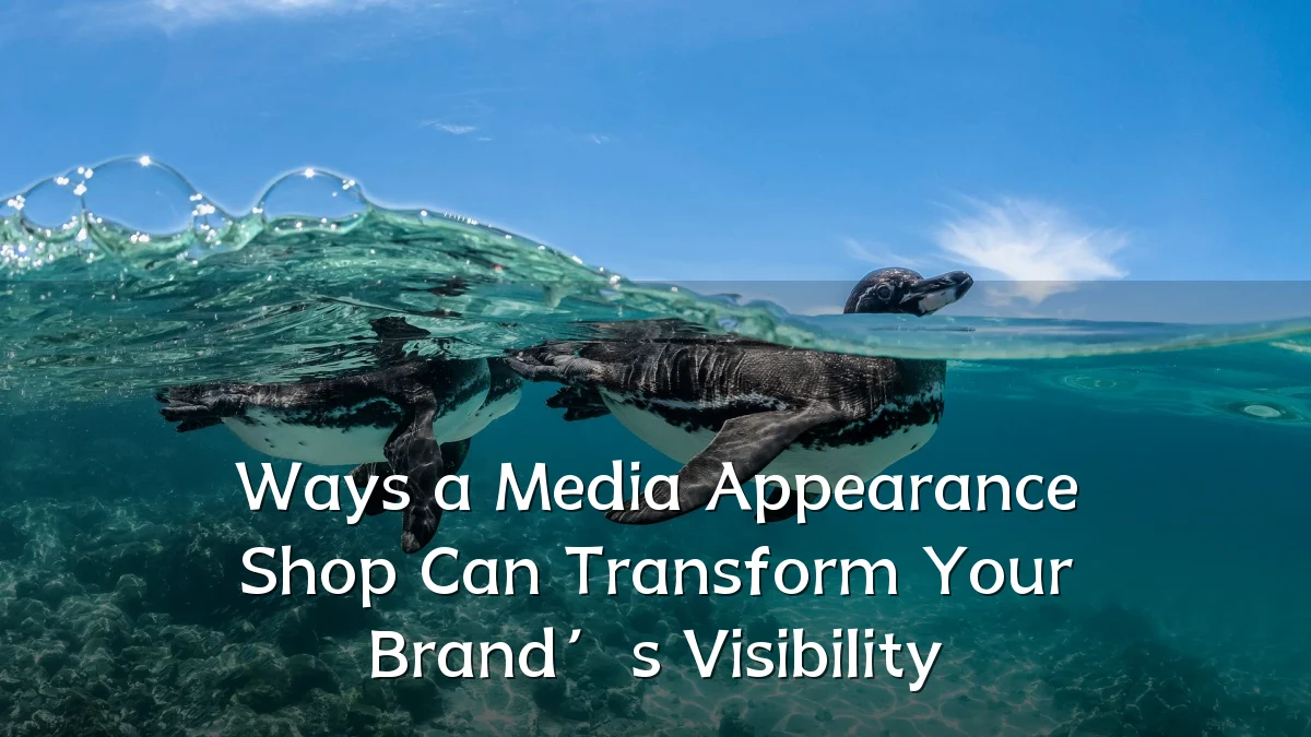 Ways a Media Appearance Shop Can Transform Your Brand’s Visibility