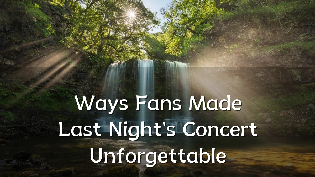 Ways Fans Made Last Night's Concert Unforgettable