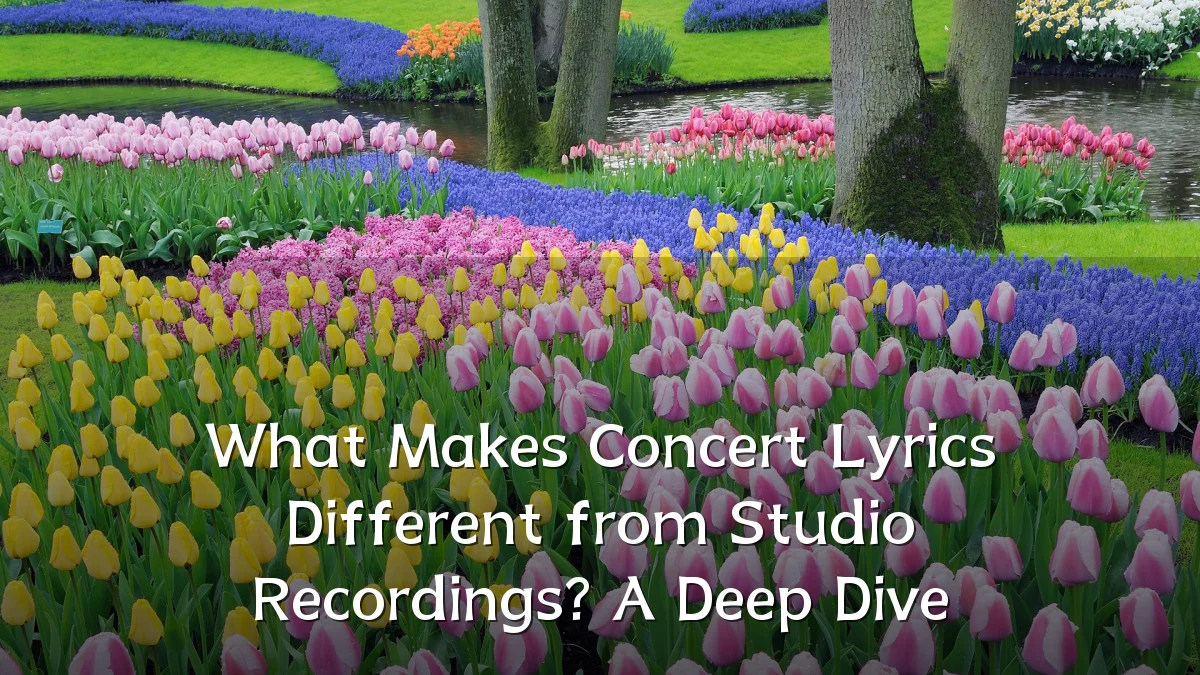 What Makes Concert Lyrics Different from Studio Recordings? A Deep Dive