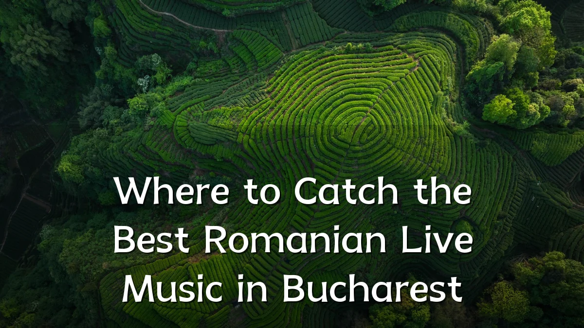 Where to Catch the Best Romanian Live Music in Bucharest