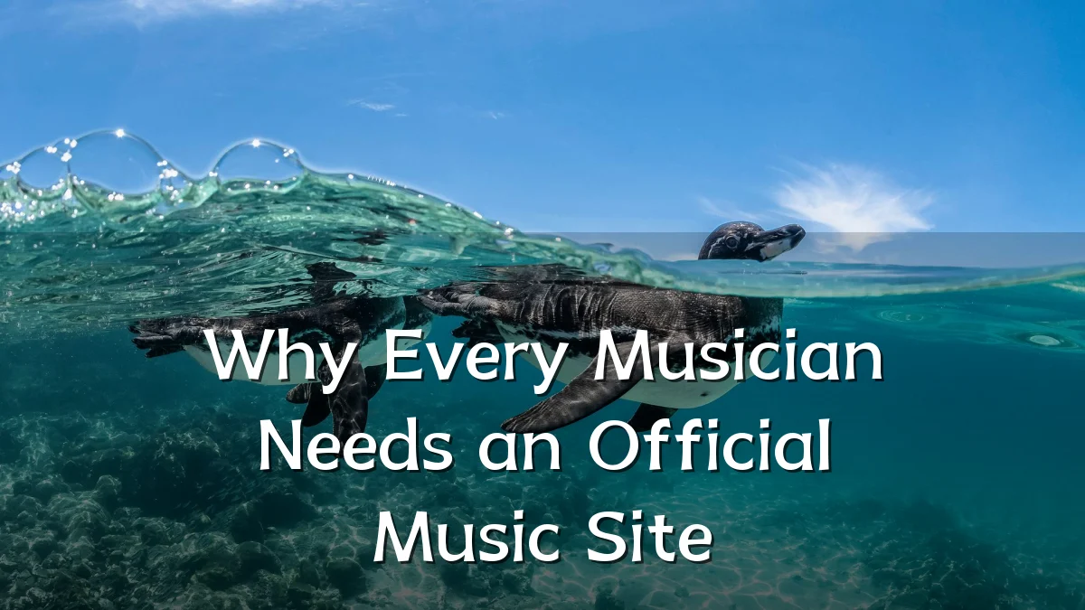 Why Every Musician Needs an Official Music Site
