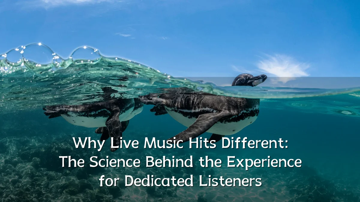 Why Live Music Hits Different: The Science Behind the Experience for Dedicated Listeners